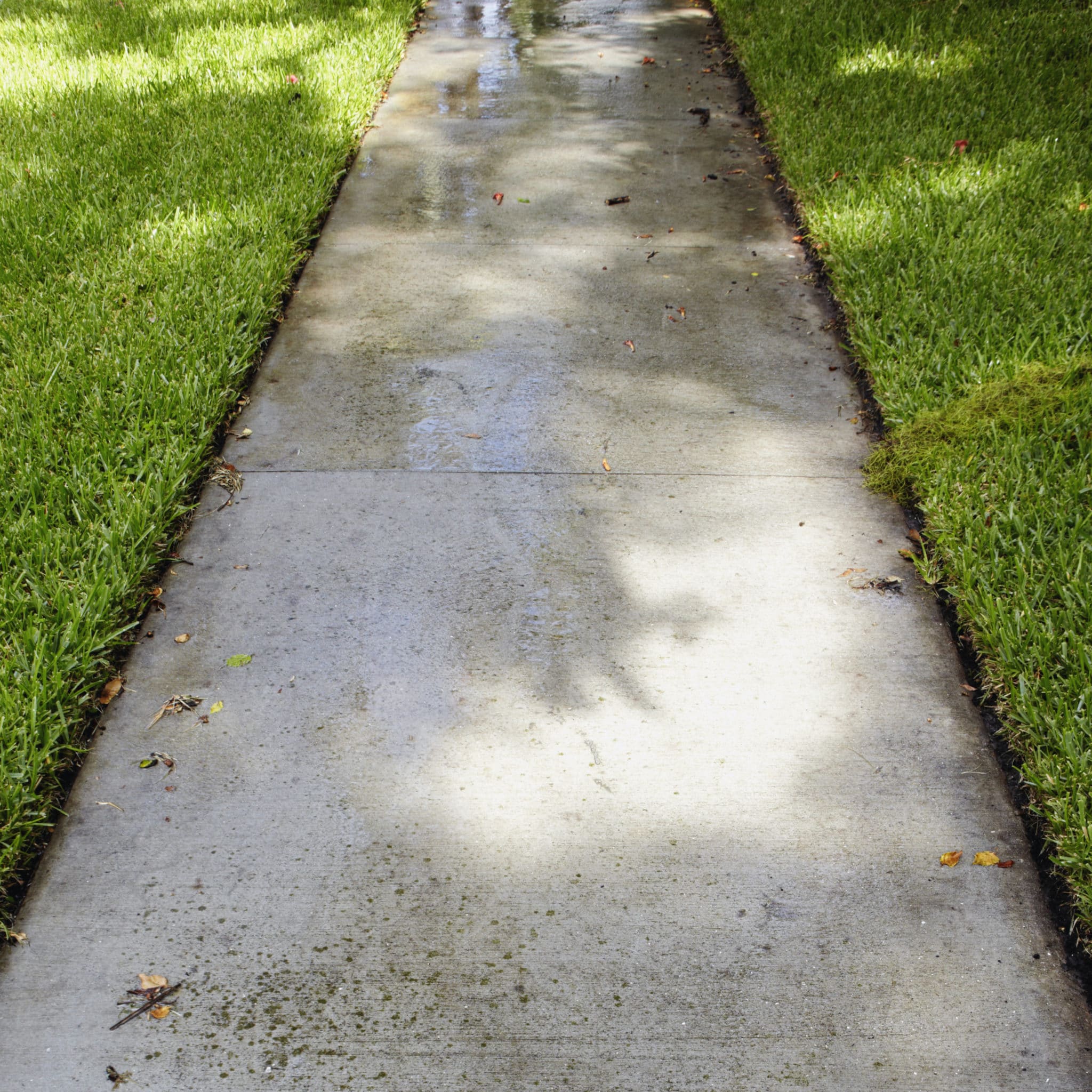 wet sidewalk through grass JDKYXZ8 scaled